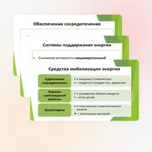 Презентация на тему 