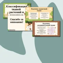 Презентации по биологии на тему:«Классификация тканей животных и растений»