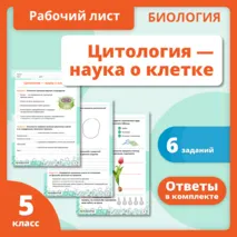 Рабочий лист по биологии по теме: «Цитология – наука о клетке»