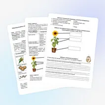 Лабораторная работа «Обнаружение неорганических и органических веществ в растении»