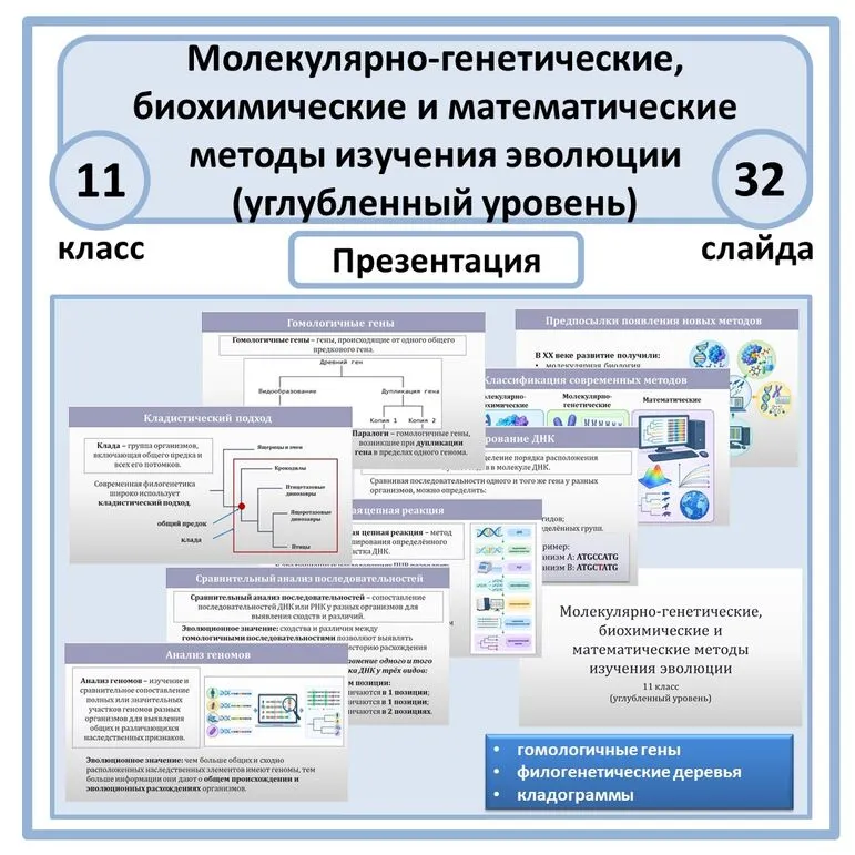 Презентация «Молекулярно-генетические, биохимические и математические методы изучения эволюции» 11 класс (углубленный уровень)