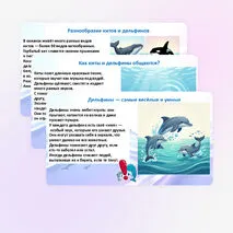 Презентация «Всемирный день китов и дельфинов»