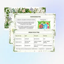Презентация по биологии «Растительная клетка, её изучение»