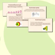 Презентация 