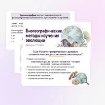 Презентация по биологии 