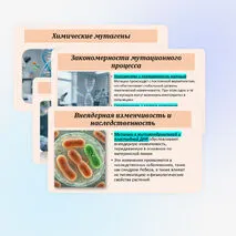 Презентация по биологии «Мутационная изменчивость» 10 класс (углубленный уровень)
