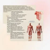 Презентация 
