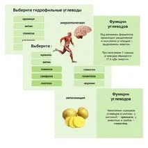 Презентация по биологии 