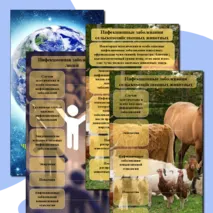 Презентация на тему 