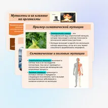 Презентация по биологии «Мутационная изменчивость» 10 класс (углубленный уровень)