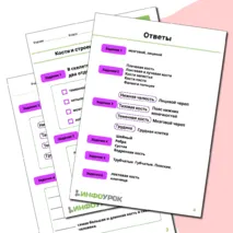 Кости и строение скелета человека.