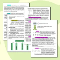 Конспект «Формы размножения организмов». Биология 10 кл (углубленный уровень)