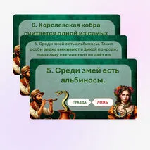 Игра 