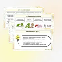 Презентация по биологии «Углеводы. Липиды