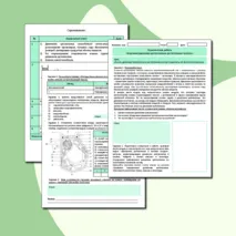 Практическая работа «Изучение движения цитоплазмы в растительных клетках» (10 класс профильный уровень)