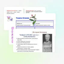 Презентация: 