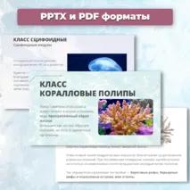 Презентация «Многообразие кишечнополостных» к учебнику по биологии для 7 класса- Пасечник В.В., Суматохин С.В. и др.