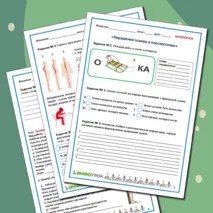 Рабочий лист + практическая работа + тест. Биология 8 (9) класс. «Нарушение осанки и плоскостопие»