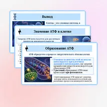 Презентация по биологии «Нуклеиновые кислоты. АТФ» для 10 класса