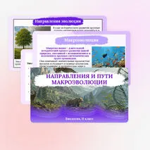 Презентация по биологии «Направления и пути макроэволюции» для 11 класса