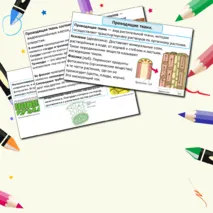 Презентация по теме: «Растительные ткани, их функции» + Лабораторная работа №3 «Изучение строения растительных тканей (использование микропрепаратов)».