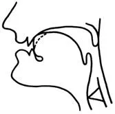 img3.jpg