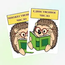 Дидактическая игра «Единственное и множественное число»