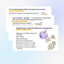 Презентация по биологии 
