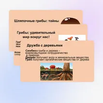 Презентация 