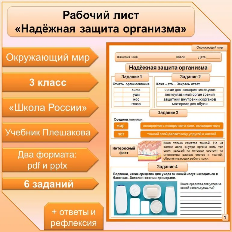 Рабочий лист по теме 