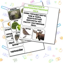 Природные зоны