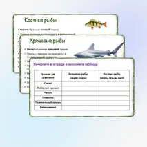 Урок «Хрящевые и костные рыбы», 8 класс