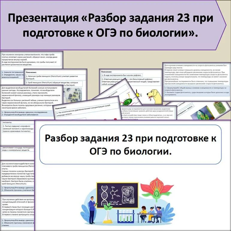 Презентация «Разбор задания 23 при подготовке к ОГЭ по биологии».