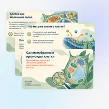 Презентация 