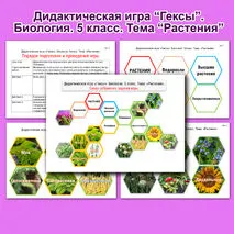 Дидактическая игра 