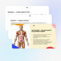 Презентация 