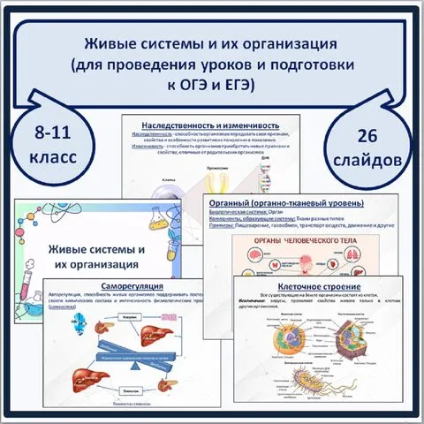 Презентация на тему 