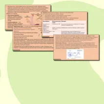 Презентация по биологии 