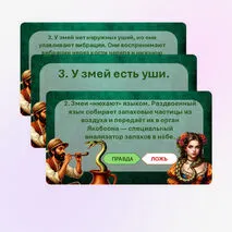 Игра 