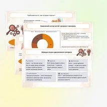 Презентация 