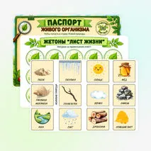 Живая и неживая природа. Признаки живого