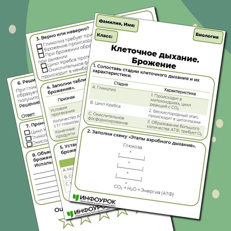 Рабочий лист по биологии 