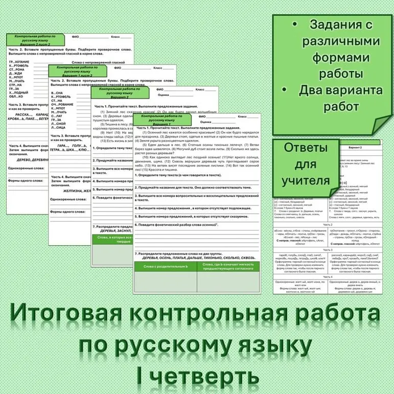 Итоговая контрольная работа по русскому языку за I четверть для 5 класса.