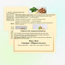 Презентация «Жиры: гидролиз, применение, биологическая роль жиров»
