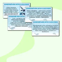 Всемирный день китов и дельфинов. Презентация.