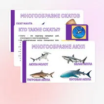 Презентация «Хрящевые и костные рыбы». Биология 8 класс.