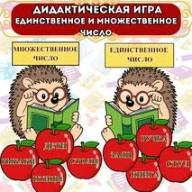 Дидактическая игра «Единственное и множественное число»