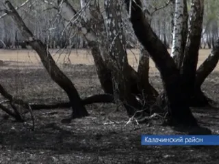 http://gtrk-omsk.ru/upload/iblock/4b6/pozhar_posledstviya.jpg