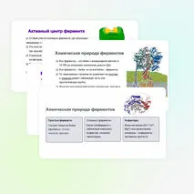 Презентация: 