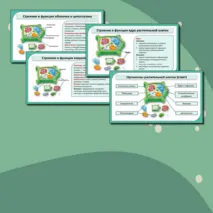 Комплект (конспект + презентация + рабочий лист + лабораторная работа + тест) «Растительная клетка, ее изучение. Лабораторная работа «Изучение микроскопического строения листа водного растения элодеи»». Биология 6 класс